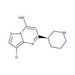 Nc1cc([C@@H]2CCCNC2)nc2c(Br)cnn12 ZINC000066100093