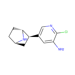 Nc1cc([C@H]2C[C@H]3CC[C@H]2N3)cnc1Cl ZINC000100048007