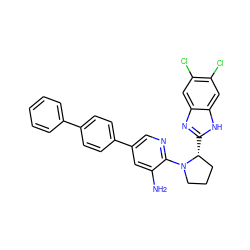 Nc1cc(-c2ccc(-c3ccccc3)cc2)cnc1N1CCC[C@H]1c1nc2cc(Cl)c(Cl)cc2[nH]1 ZINC000082157076