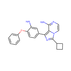 Nc1cc(-c2nc(C3CCC3)n3ccnc(N)c23)ccc1Oc1ccccc1 ZINC000096168288