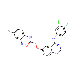 Nc1cc(Br)ccc1NC(=O)COc1ccc2ncnc(Nc3ccc(F)c(Cl)c3)c2c1 ZINC000166075060