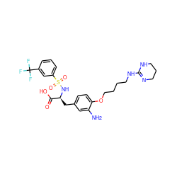 Nc1cc(C[C@H](NS(=O)(=O)c2cccc(C(F)(F)F)c2)C(=O)O)ccc1OCCCCNC1=NCCCN1 ZINC000049670173