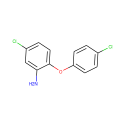 Nc1cc(Cl)ccc1Oc1ccc(Cl)cc1 ZINC000000157938