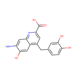 Nc1cc2nc(C(=O)O)cc(Cc3ccc(O)c(O)c3)c2cc1O ZINC000013490180