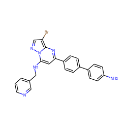 Nc1ccc(-c2ccc(-c3cc(NCc4cccnc4)n4ncc(Br)c4n3)cc2)cc1 ZINC001772607772