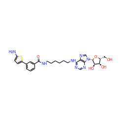 Nc1ccc(-c2cccc(C(=O)NCCCCCCNc3ncnc4c3ncn4[C@@H]3O[C@H](CO)[C@@H](O)[C@H]3O)c2)s1 ZINC001772653774