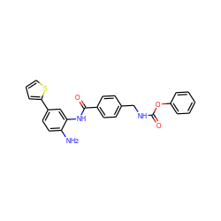 Nc1ccc(-c2cccs2)cc1NC(=O)c1ccc(CNC(=O)Oc2ccccc2)cc1 ZINC000146093917