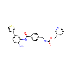 Nc1ccc(-c2ccsc2)cc1NC(=O)c1ccc(CNC(=O)OCc2cccnc2)cc1 ZINC000145983682