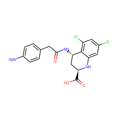 Nc1ccc(CC(=O)N[C@H]2C[C@H](C(=O)O)Nc3cc(Cl)cc(Cl)c32)cc1 ZINC000013455271