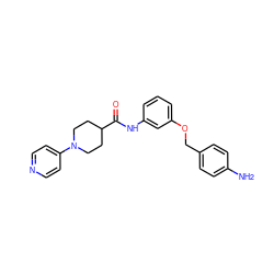 Nc1ccc(COc2cccc(NC(=O)C3CCN(c4ccncc4)CC3)c2)cc1 ZINC000096285755