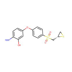 Nc1ccc(Oc2ccc(S(=O)(=O)C[C@@H]3CS3)cc2)cc1O ZINC000072124496