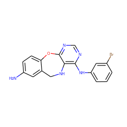 Nc1ccc2c(c1)CNc1c(Nc3cccc(Br)c3)ncnc1O2 ZINC000028571250