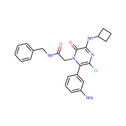 Nc1cccc(-c2c(Cl)nc(NC3CCC3)c(=O)n2CC(=O)NCc2ccccc2)c1 ZINC000028707619