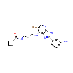 Nc1cccc(-c2nc3c(NCCCNC(=O)C4CCC4)c(Br)cnc3[nH]2)c1 ZINC000084603282