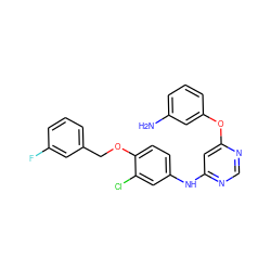 Nc1cccc(Oc2cc(Nc3ccc(OCc4cccc(F)c4)c(Cl)c3)ncn2)c1 ZINC000082152673