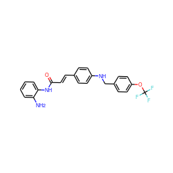 Nc1ccccc1NC(=O)/C=C/c1ccc(NCc2ccc(OC(F)(F)F)cc2)cc1 ZINC000036338674