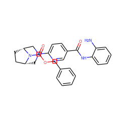 Nc1ccccc1NC(=O)c1ccc(N2C[C@@H]3CC[C@H](C2)N3C(=O)OCc2ccccc2)nc1 ZINC000028824517