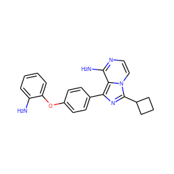 Nc1ccccc1Oc1ccc(-c2nc(C3CCC3)n3ccnc(N)c23)cc1 ZINC000096168290