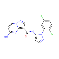 Nc1ccn2ncc(C(=O)Nc3ccnn3-c3cc(Cl)ccc3Cl)c2n1 ZINC000113754330