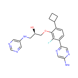 Nc1cnc(-c2ccc(C3CCC3)c(OC[C@H](O)CNc3cncnc3)c2F)cn1 ZINC000224549079