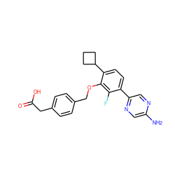 Nc1cnc(-c2ccc(C3CCC3)c(OCc3ccc(CC(=O)O)cc3)c2F)cn1 ZINC000212175327