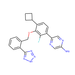 Nc1cnc(-c2ccc(C3CCC3)c(OCc3ccccc3-c3nn[nH]n3)c2F)cn1 ZINC000212178669