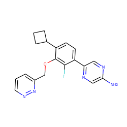 Nc1cnc(-c2ccc(C3CCC3)c(OCc3cccnn3)c2F)cn1 ZINC000224547093