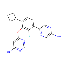 Nc1cnc(-c2ccc(C3CCC3)c(Oc3cc(N)ncn3)c2F)cn1 ZINC000224573228