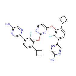 Nc1cnc(-c2ccc(C3CCC3)c(Oc3ccnc(Oc4c(C5CCC5)ccc(-c5cnc(N)cn5)c4F)n3)c2F)cn1 ZINC000224558667