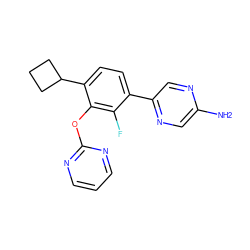 Nc1cnc(-c2ccc(C3CCC3)c(Oc3ncccn3)c2F)cn1 ZINC000212374942