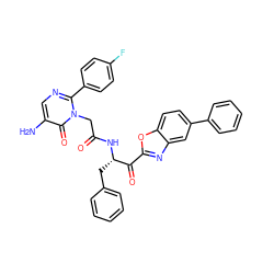 Nc1cnc(-c2ccc(F)cc2)n(CC(=O)N[C@@H](Cc2ccccc2)C(=O)c2nc3cc(-c4ccccc4)ccc3o2)c1=O ZINC000028755946