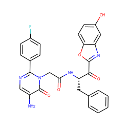 Nc1cnc(-c2ccc(F)cc2)n(CC(=O)N[C@@H](Cc2ccccc2)C(=O)c2nc3cc(O)ccc3o2)c1=O ZINC000028757417