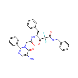 Nc1cnc(-c2ccccc2)n(CC(=O)N[C@@H](Cc2ccccc2)C(=O)C(F)(F)C(=O)NCc2ccccc2)c1=O ZINC000028757746