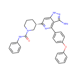 Nc1n[nH]c2cc([C@H]3CCCN(C(=O)Nc4ccccc4)C3)nc(-c3ccc(Oc4ccccc4)cc3)c12 ZINC000204813351