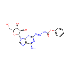 Nc1nc(/N=N/NC(=O)Oc2ccccc2)nc2c1ncn2[C@@H]1O[C@H](CO)[C@@H](O)[C@H]1O ZINC000013517428