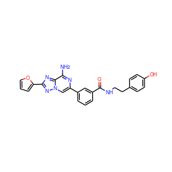 Nc1nc(-c2cccc(C(=O)NCCc3ccc(O)cc3)c2)cn2nc(-c3ccco3)nc12 ZINC000028524111