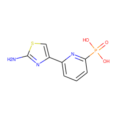 Nc1nc(-c2cccc(P(=O)(O)O)n2)cs1 ZINC000066102100