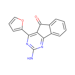 Nc1nc(-c2ccco2)c2c(n1)-c1ccccc1C2=O ZINC000013982068