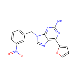 Nc1nc(-c2ccco2)c2ncn(Cc3cccc([N+](=O)[O-])c3)c2n1 ZINC000029048127