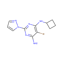 Nc1nc(-n2cccn2)nc(NC2CCC2)c1Br ZINC000149276653