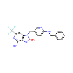 Nc1nc(C(F)(F)F)cc2c1[nH]c(=O)n2Cc1ccc(NCc2ccccc2)nc1 ZINC000072123304