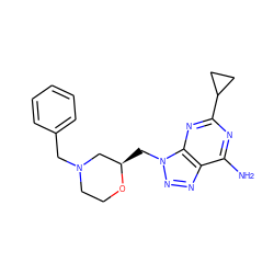 Nc1nc(C2CC2)nc2c1nnn2C[C@@H]1CN(Cc2ccccc2)CCO1 ZINC000084690755