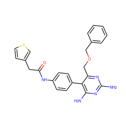 Nc1nc(N)c(-c2ccc(NC(=O)Cc3ccsc3)cc2)c(COCc2ccccc2)n1 ZINC000014970725