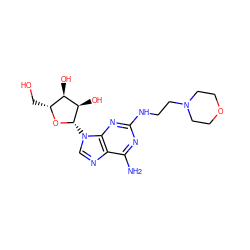 Nc1nc(NCCN2CCOCC2)nc2c1ncn2[C@@H]1O[C@H](CO)[C@@H](O)[C@H]1O ZINC000013823917