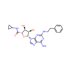 Nc1nc(NCCc2ccccc2)nc2c1ncn2[C@@H]1O[C@H](C(=O)NC2CC2)[C@@H](O)[C@H]1O ZINC000029561971