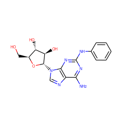 Nc1nc(Nc2ccccc2)nc2c1ncn2[C@@H]1O[C@@H](CO)[C@H](O)[C@H]1O ZINC000007999128