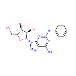 Nc1nc(Nc2ccccc2)nc2c1ncn2[C@@H]1O[C@H](CO)[C@@H](O)[C@H]1O ZINC000003995405