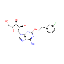 Nc1nc(OCCc2cccc(Cl)c2)nc2c1ncn2[C@@H]1O[C@H](CO)[C@@H](O)[C@H]1O ZINC000013815144