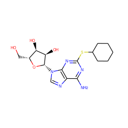 Nc1nc(SC2CCCCC2)nc2c1ncn2[C@@H]1O[C@H](CO)[C@@H](O)[C@H]1O ZINC000032068196