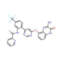 Nc1nc2c(Oc3cc(-c4ccc(C(F)(F)F)cc4NC(=O)c4ccccn4)ncn3)cccc2[nH]c1=O ZINC000044404551